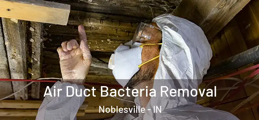 Air Duct Bacteria Removal Noblesville - IN