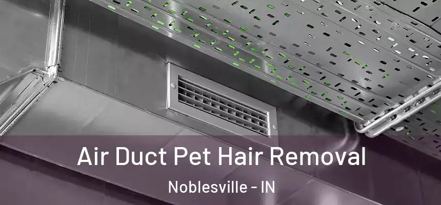  Air Duct Pet Hair Removal Noblesville - IN