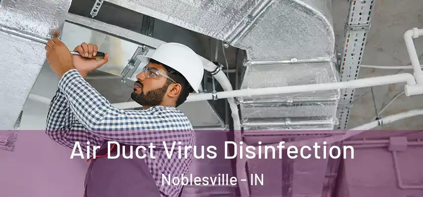 Air Duct Virus Disinfection Noblesville - IN