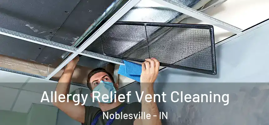 Allergy Relief Vent Cleaning Noblesville - IN