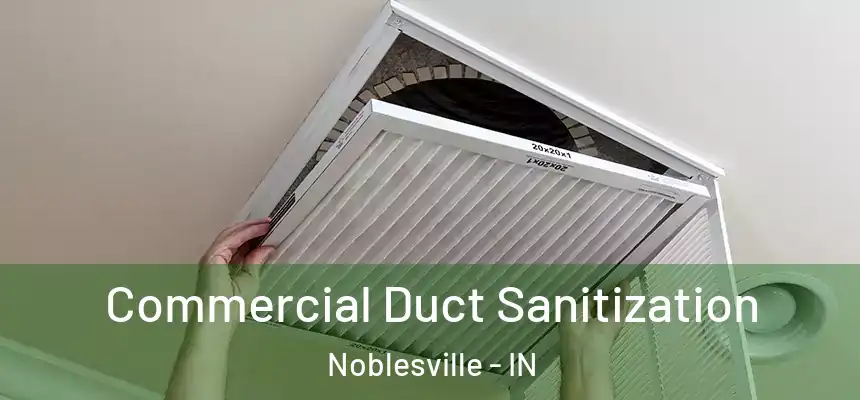 Commercial Duct Sanitization Noblesville - IN