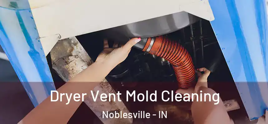  Dryer Vent Mold Cleaning Noblesville - IN