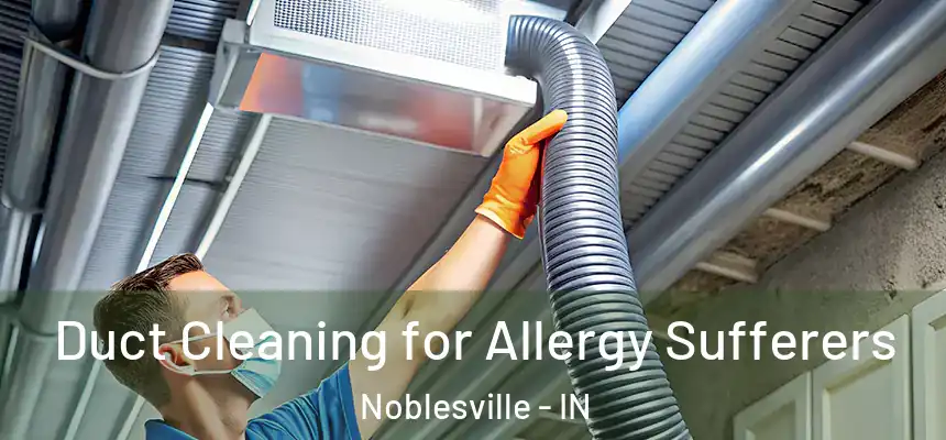 Duct Cleaning for Allergy Sufferers Noblesville - IN