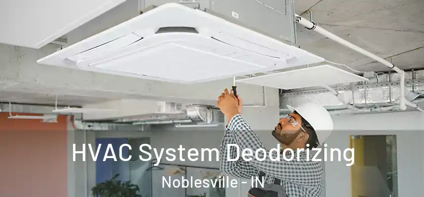 HVAC System Deodorizing Noblesville - IN