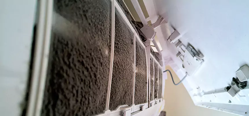 Preventive Air Duct Bacteria Removal in Noblesville