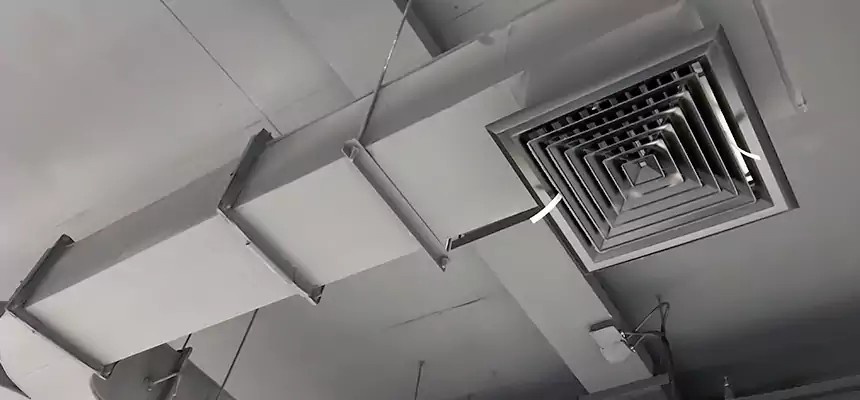 Restorative Allergy Relief Vent Cleaning – Coil, Blower & Housing Detail in Noblesville