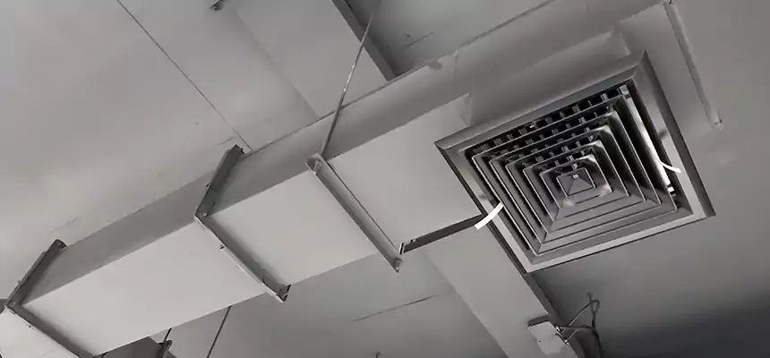 Our Rodent Droppings In Vents Services in Noblesville, IN