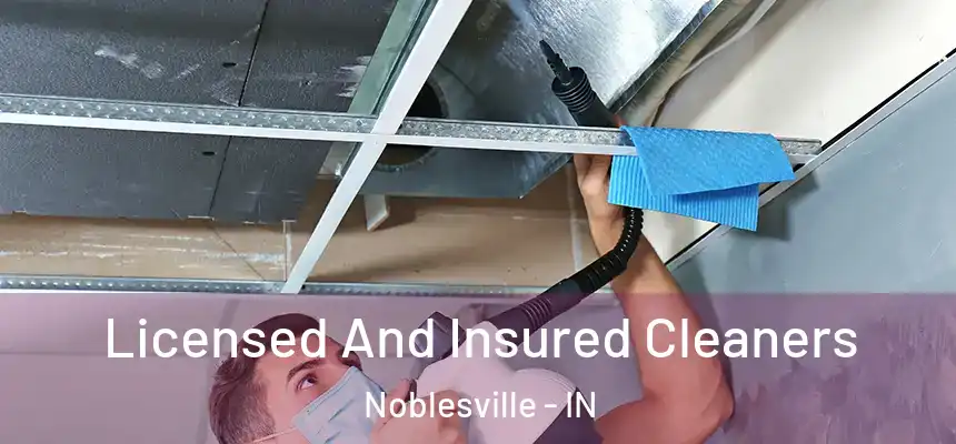 Licensed And Insured Cleaners Noblesville - IN