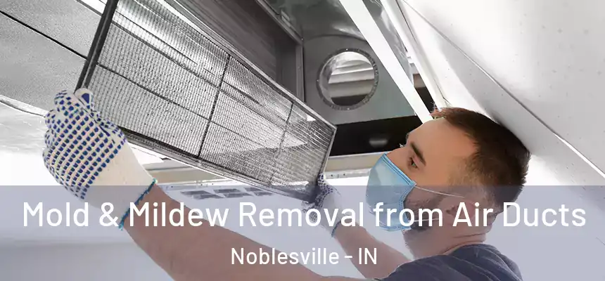  Mold & Mildew Removal from Air Ducts Noblesville - IN