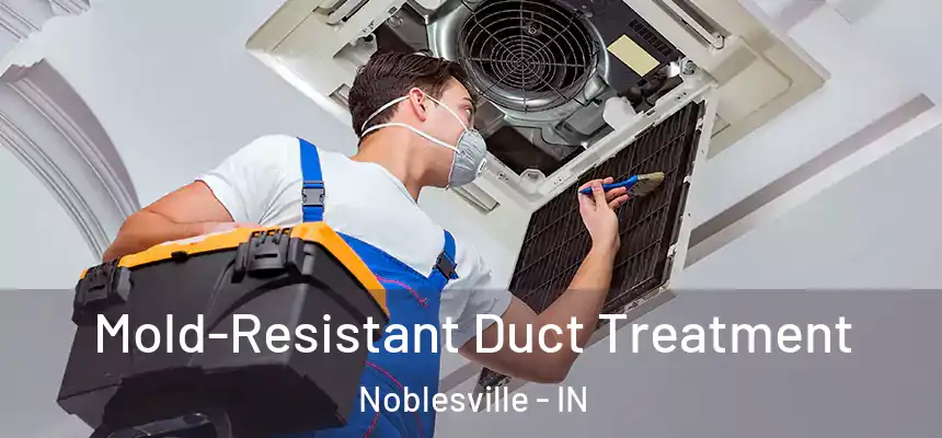 Mold-Resistant Duct Treatment Noblesville - IN