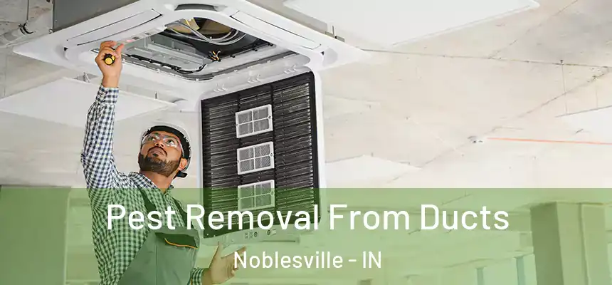  Pest Removal From Ducts Noblesville - IN