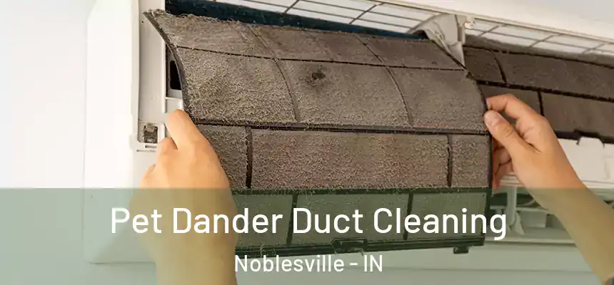  Pet Dander Duct Cleaning Noblesville - IN