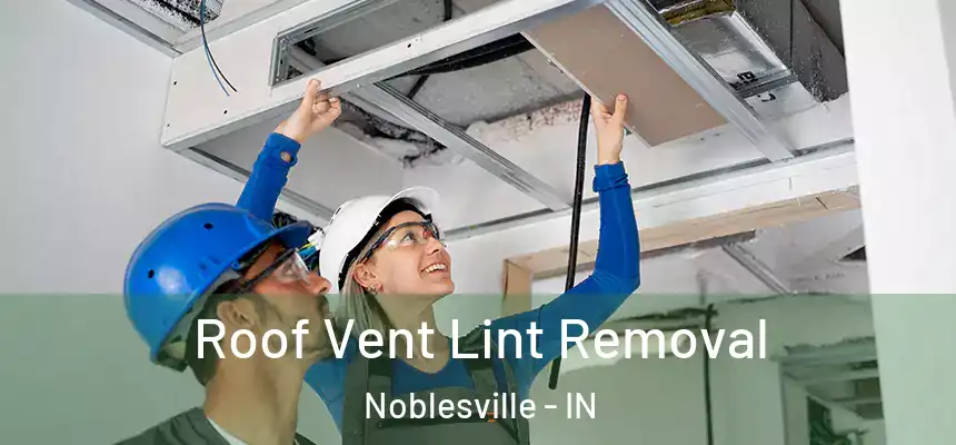 Roof Vent Lint Removal Noblesville - IN
