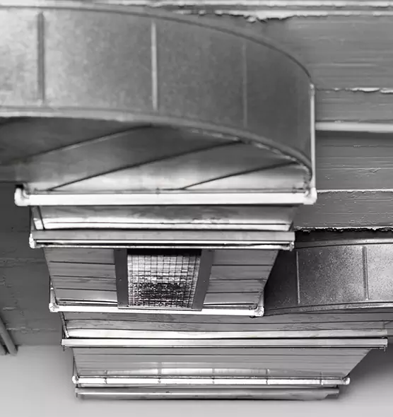 Professional Air Duct Pest Removal in Noblesville, IN