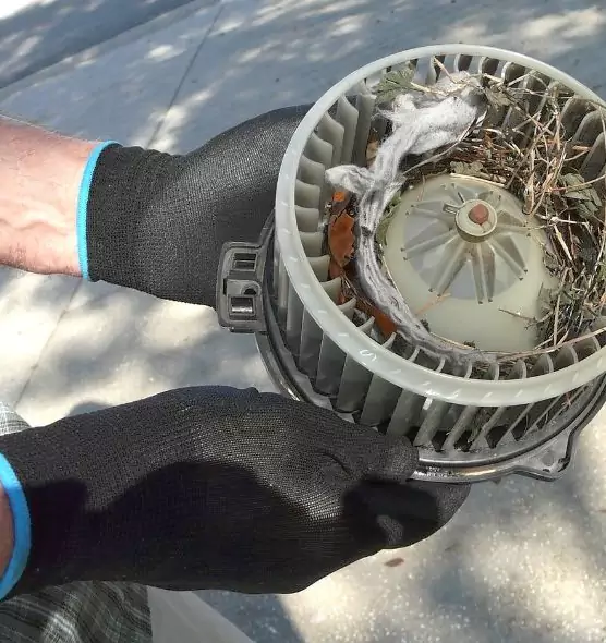 About Air Duct Rat Removal in Noblesville, IN