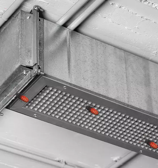 Affordable Insect Removal from Air Ducts in Noblesville, IN