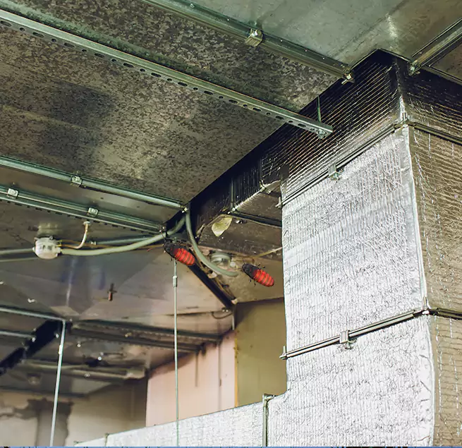 Why Homeowners & Businesses Trust Us in Noblesville, IN?