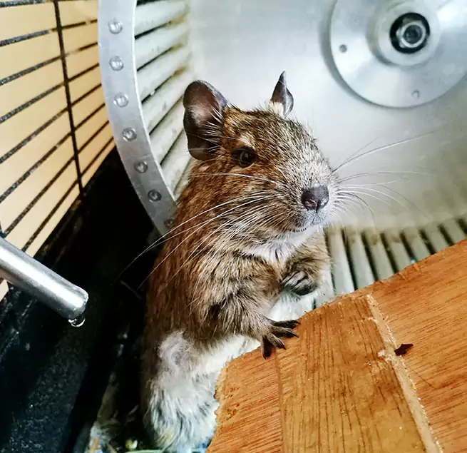 Why Homeowners & Businesses Trust Us Noblesville, IN