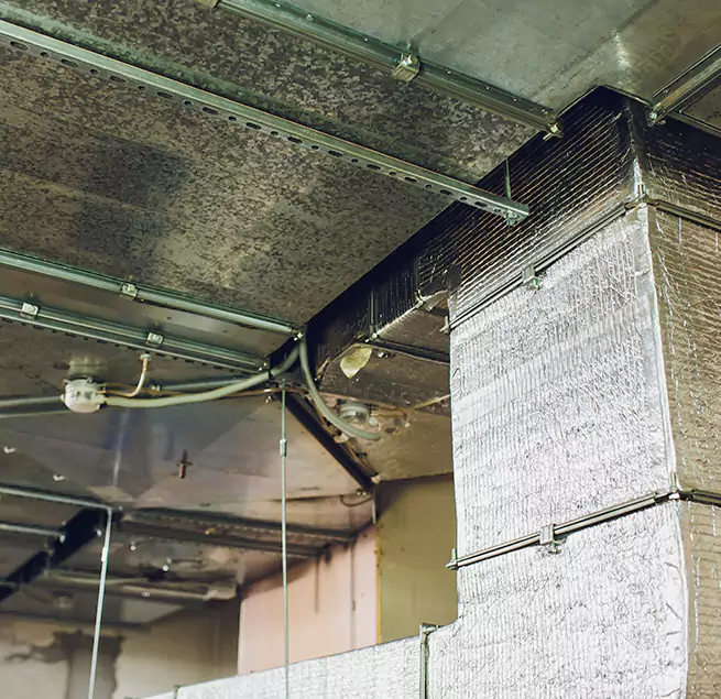 Why Homeowners & Businesses Trust Us in Noblesville, IN?